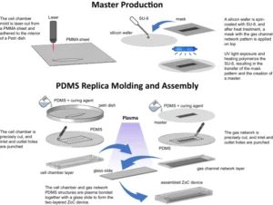 Fabrication and assembly process of liver zonation-on-chip (ZoC) device.
